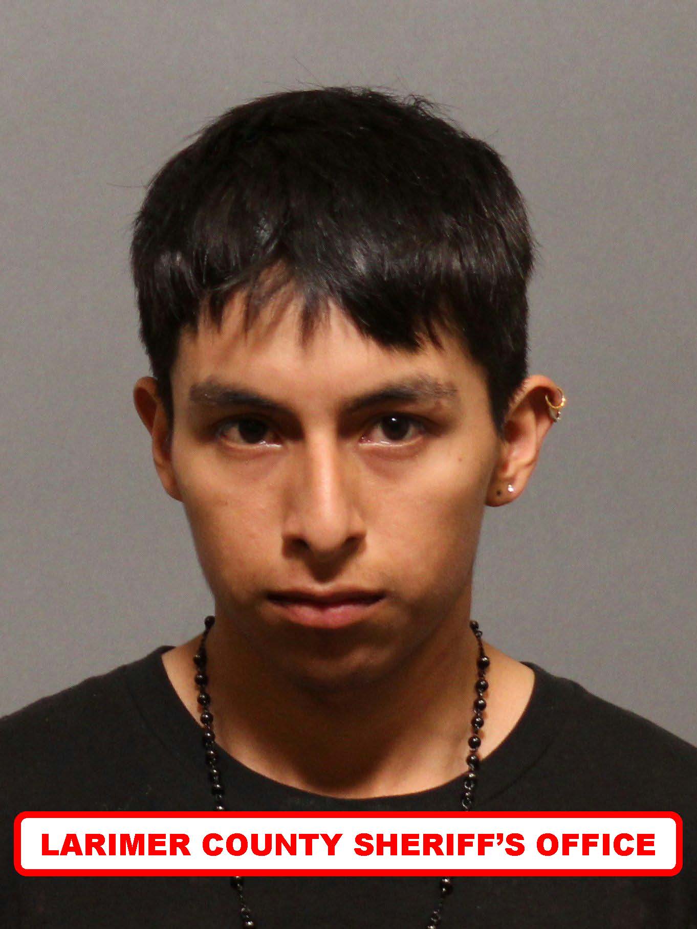 Man Arrested for Burglary, Weapons Charges Larimer County